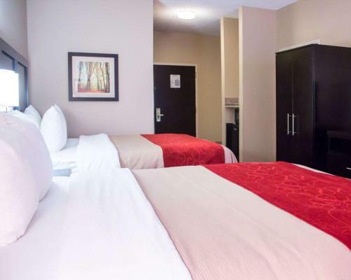 Hotel Comfort Inn Suites Trussville