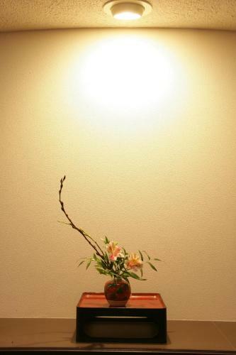 Hotel Ichii