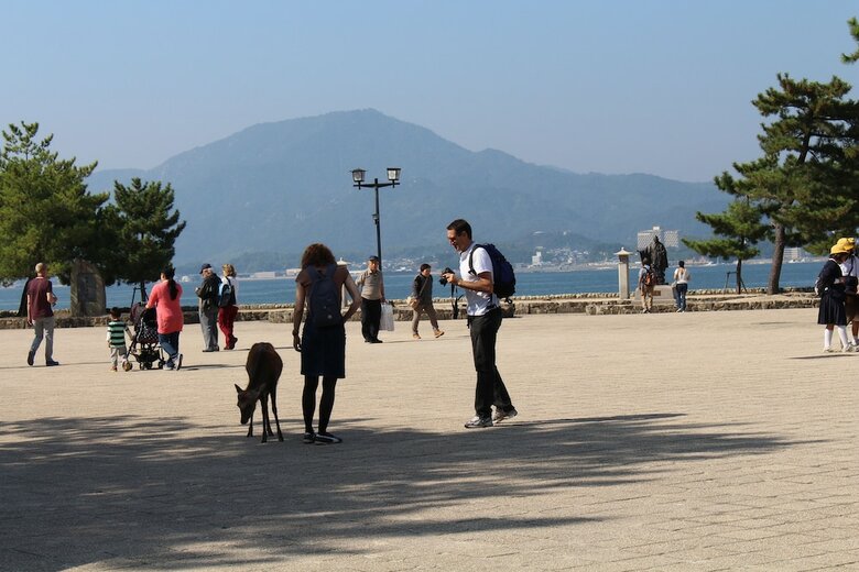 Miyajima Seaside Hotel