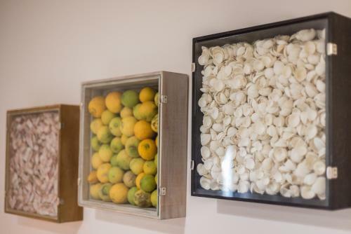 Apartamento Mint Ap