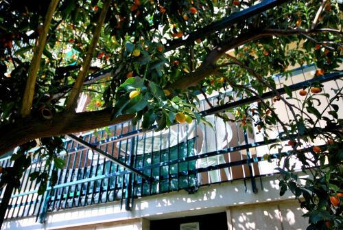 Apartamento Appartamenti Con Giardino E Posto Auto Per Famiglie E Biker