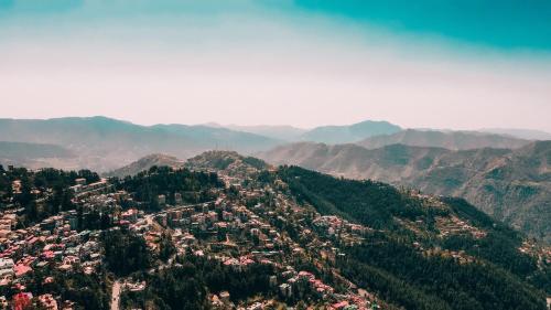 Hotel Seclude Shimla, Taraview