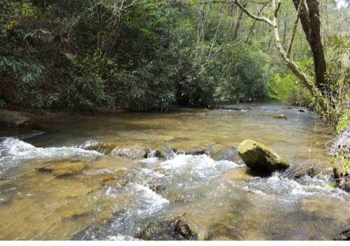 Amazing Creek View Cabin W/ Hot Tub, Firepit & Pool Table