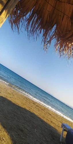 Seaside Sophia's Villa