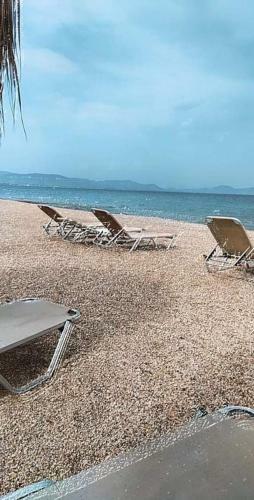 Seaside Sophia's Villa
