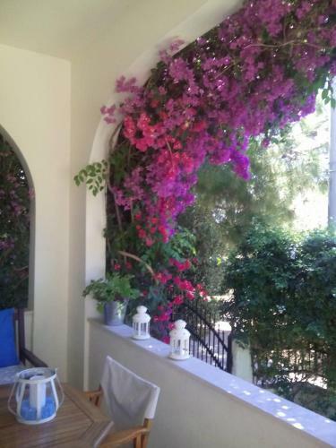 Lagonissi Summer House