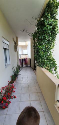 Apartamento Eirini Apts On The Beach
