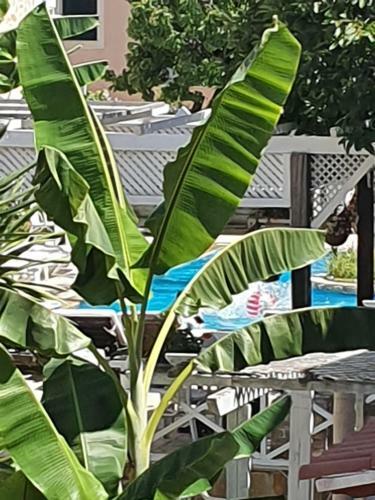 Charis Acharavi Beach Apartment