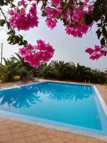 Villa Hones - Relax House