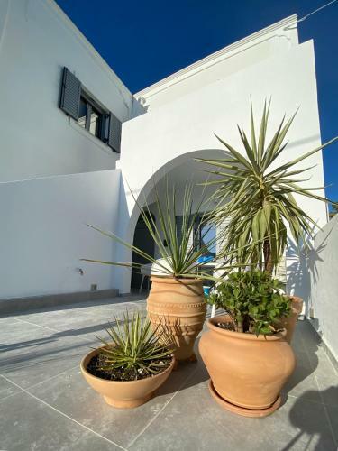 Apartamento Marton Perissa