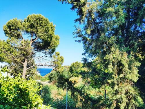 Ladikos Garden Hotel Faliraki