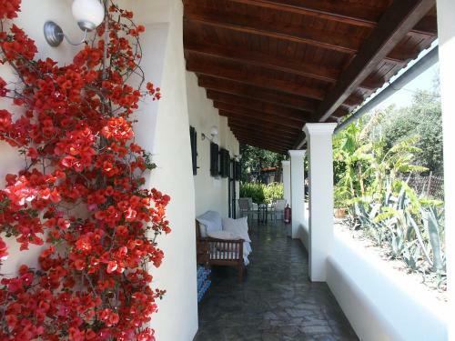 Elysium Apartments Corfu
