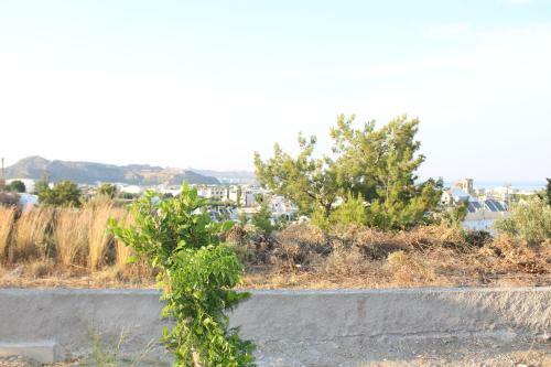 Apartamento Sunny Villa