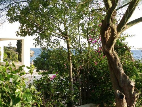 Pefkos Beachfront Villa