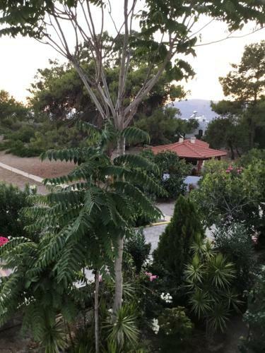 Apartamento Villa Eirini