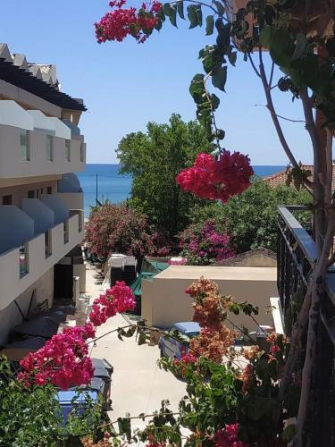 Apartamento Delfini 2