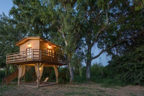 River Treehouse