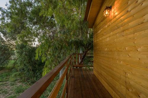 River Treehouse