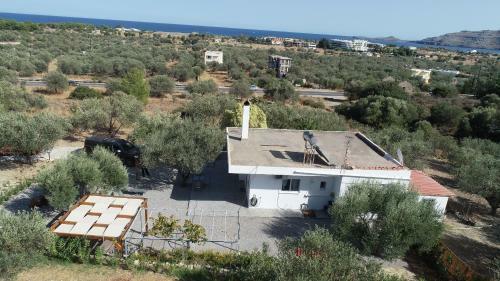 Evgenias Olive House