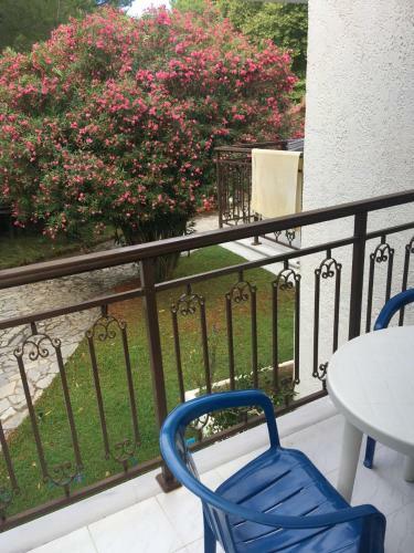 Amalia Apartments