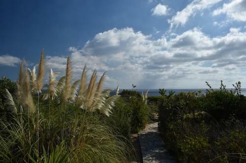 Villa Sophia Paros - Beachfront Three-bedroom Villa With Sea View