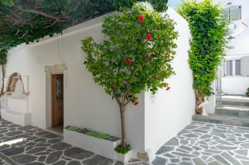 Hotel Pelican Paros