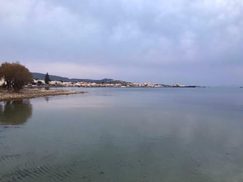 Apartamento Sea View Pension Violeta Room1 For Two