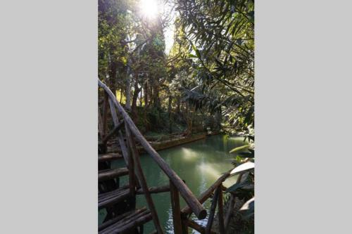 Rodini Park Apartment