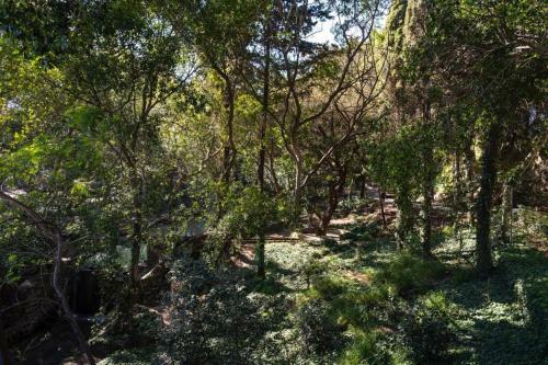 Rodini Park Apartment