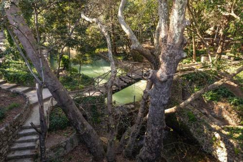 Rodini Park Apartment