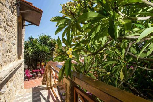Bed & Breakfast Attiki Hotel