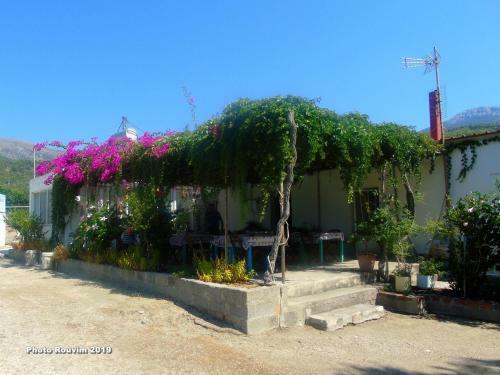 Posada Rooms To Let Star Sianna Vilange