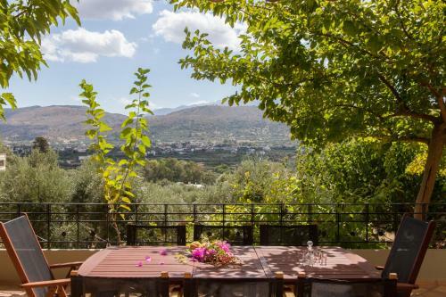 Thegrovechania