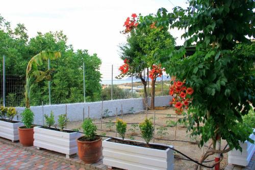 Apartamento Your Home
