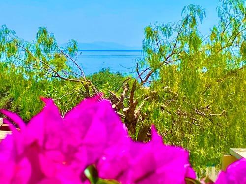 Villa Barbati Pelagos With Private Pool