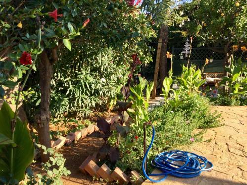 Chez Athena/ Vacation Home For 6 In Chania