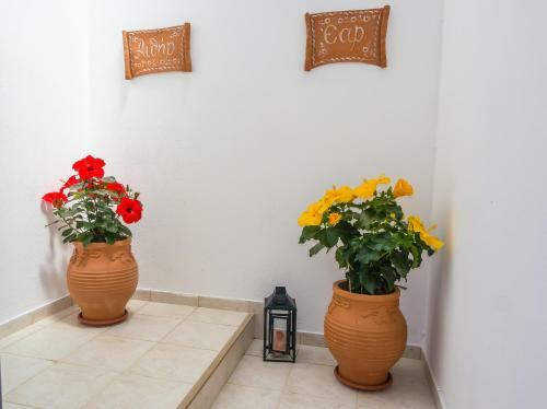 Nectar Apartments