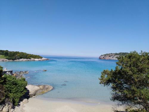Chrysoula's Paradise
