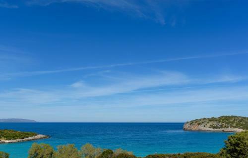 Chrysoula's Paradise