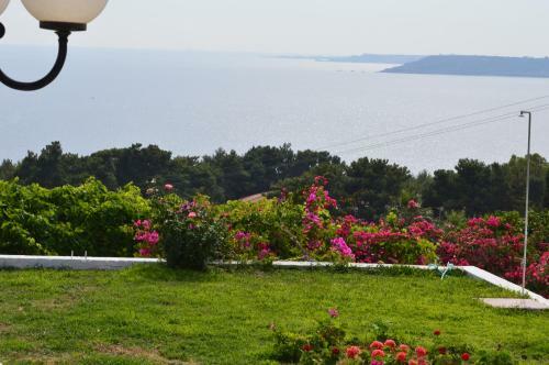 Apartamento Mediterranean Studios
