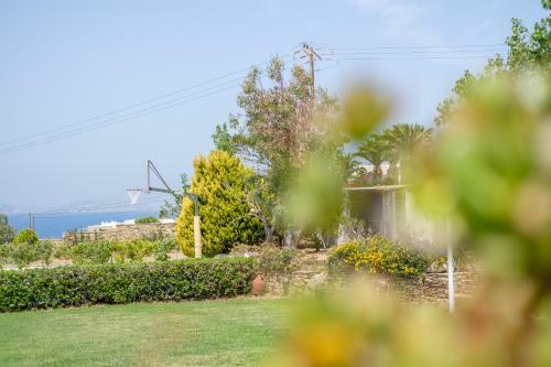 Youkali In Stelida - Naxos