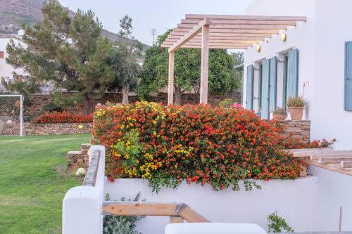 Youkali In Stelida - Naxos