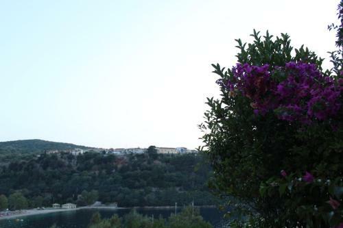 Apartamento Rocka View