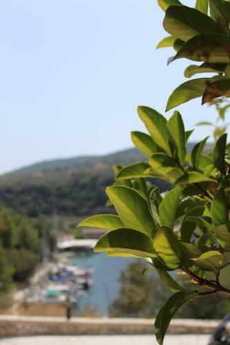 Apartamento Rocka View