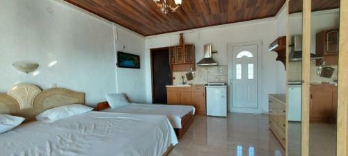 Hostal Villa Pascalis