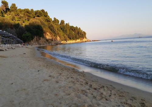 Hostal Villa Pascalis