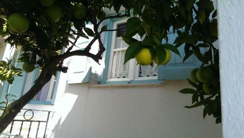 Apartamento Sofia Holiday Studios