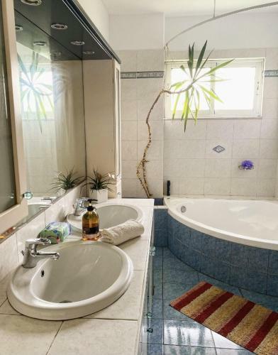 Albergue Saint George