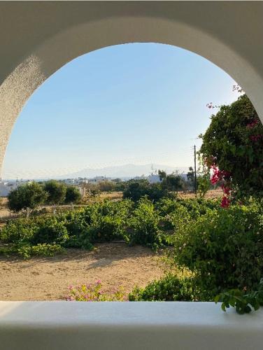Apartamento Vino Suites