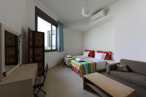 Gorgeous Eco Friendly Seaside Villa Nefeli